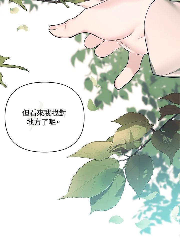第196页