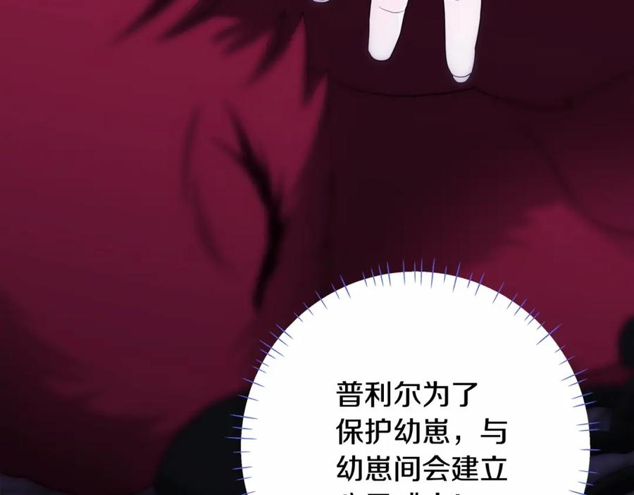 第206页