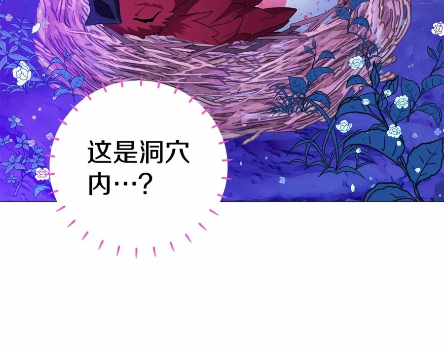 第246页