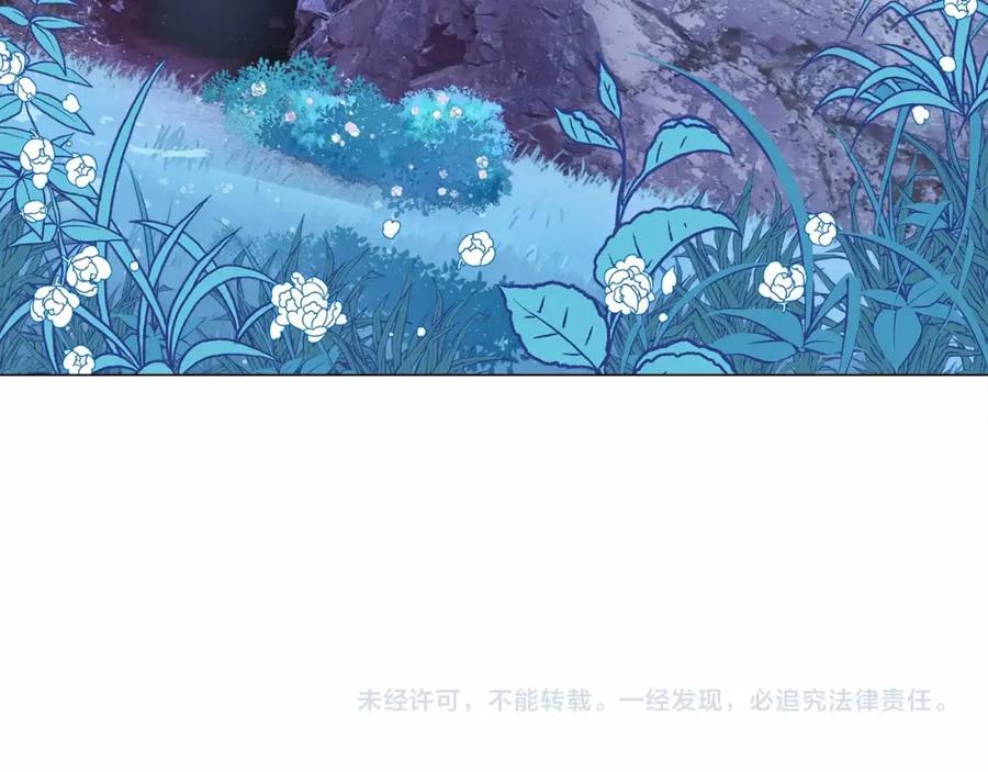 第256页