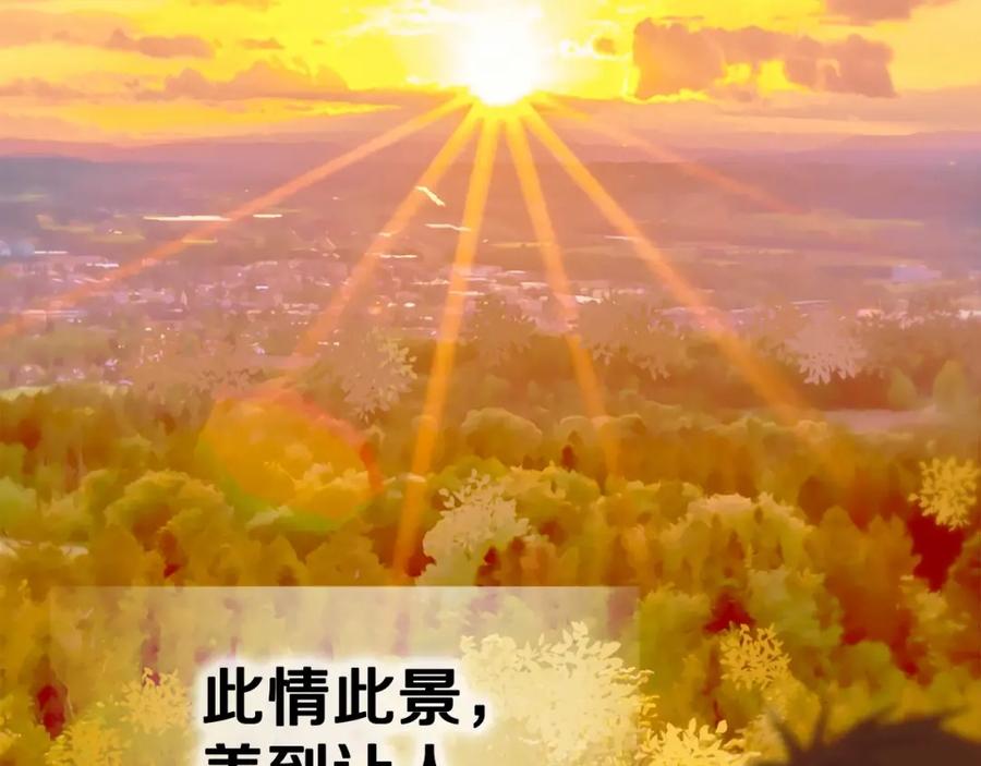第203页