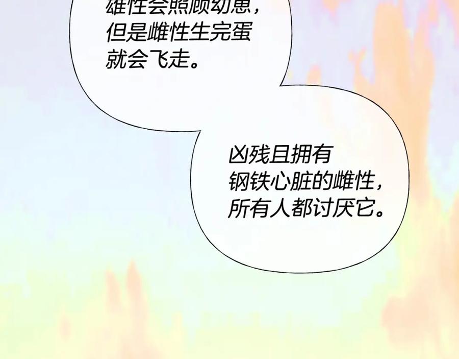 第224页