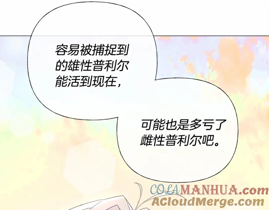 第229页
