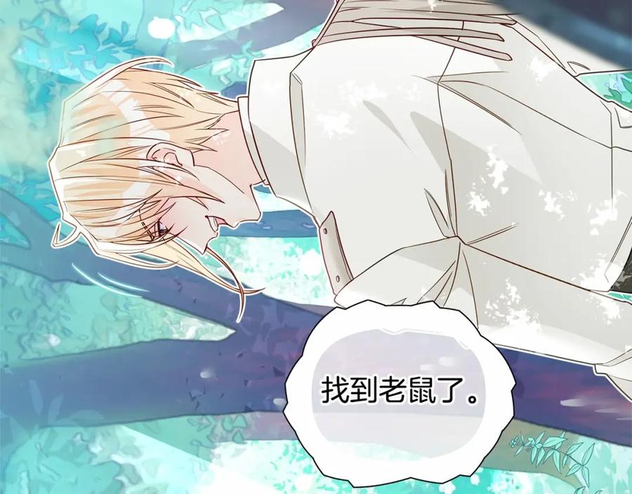 第203页