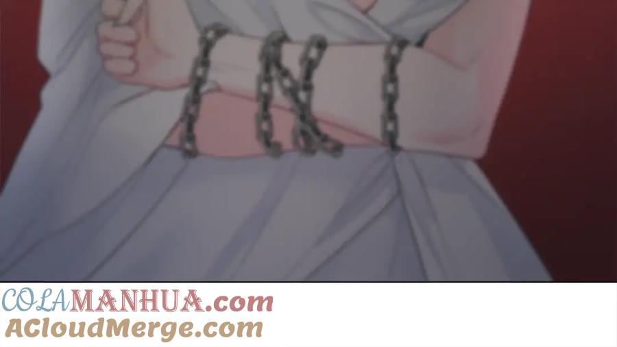 第205页
