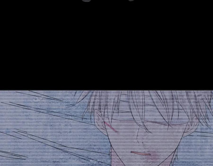 第256页