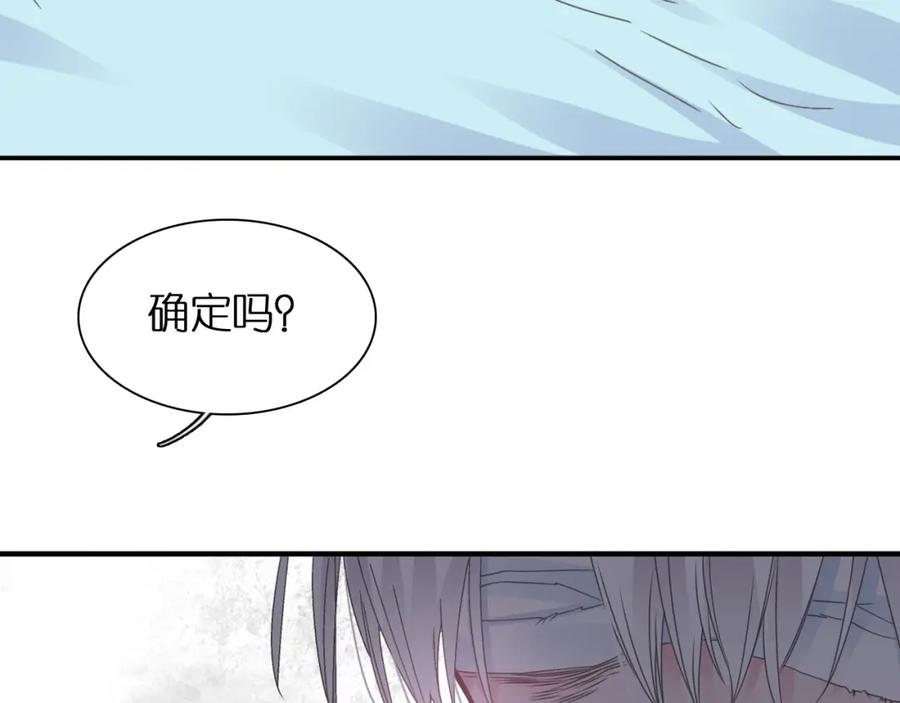 第244页