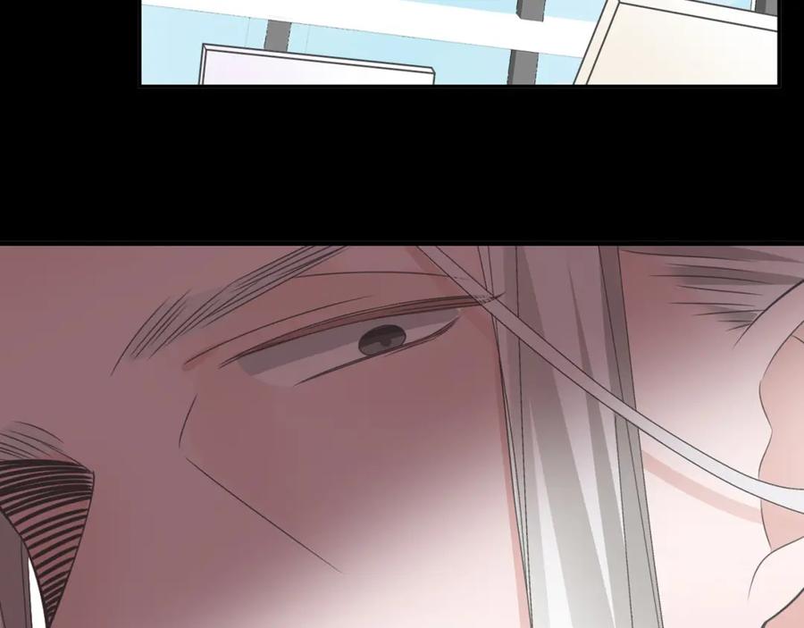 第256页