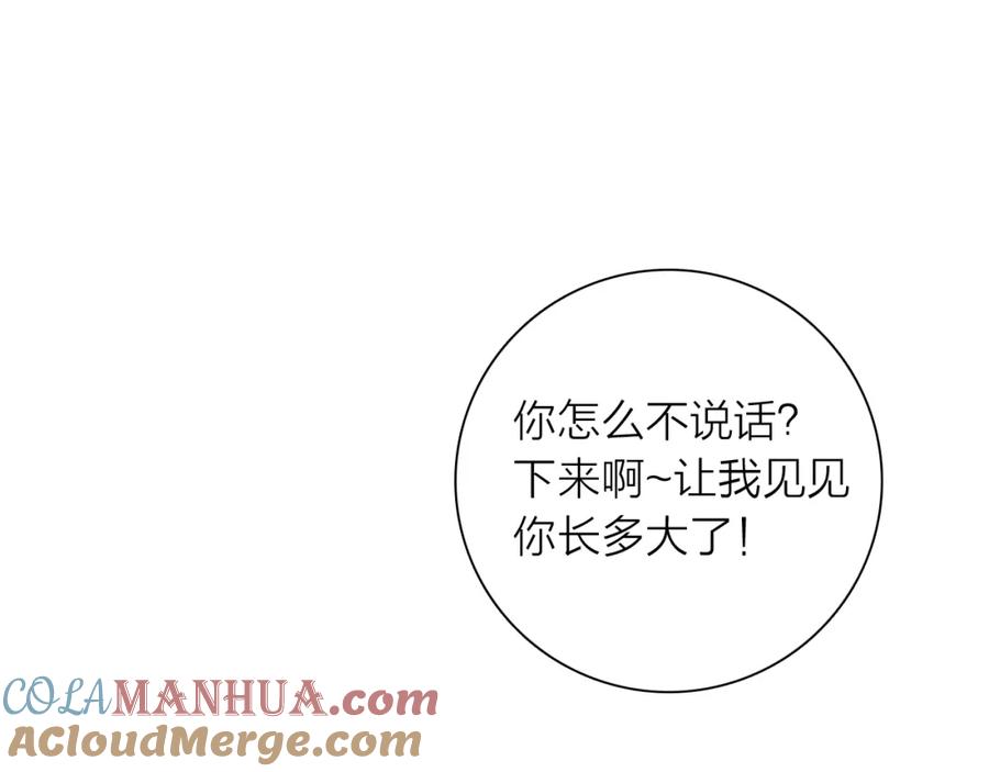 第338页