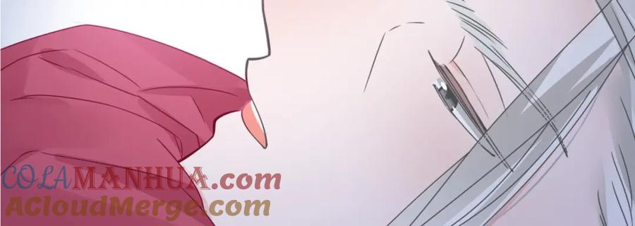 第282页