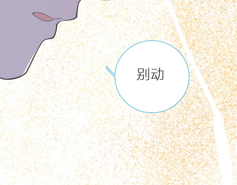 第255页