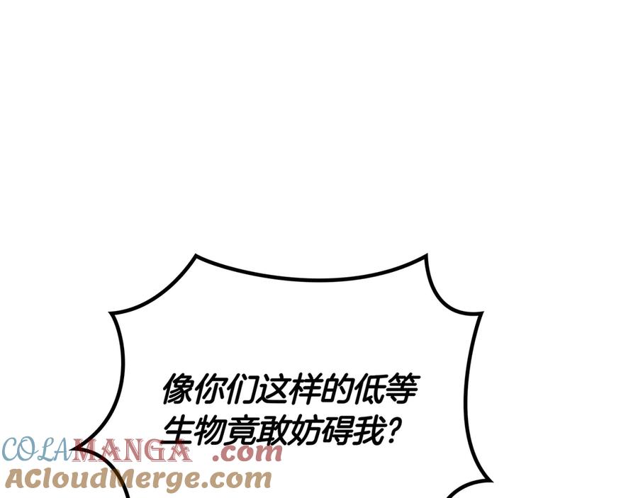 第217页