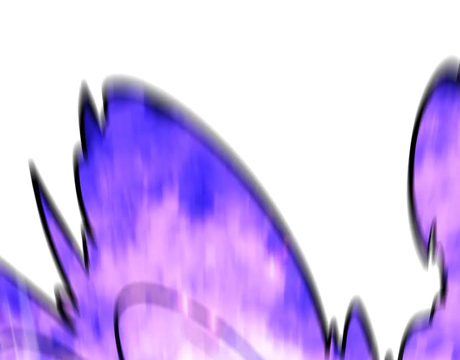 第239页