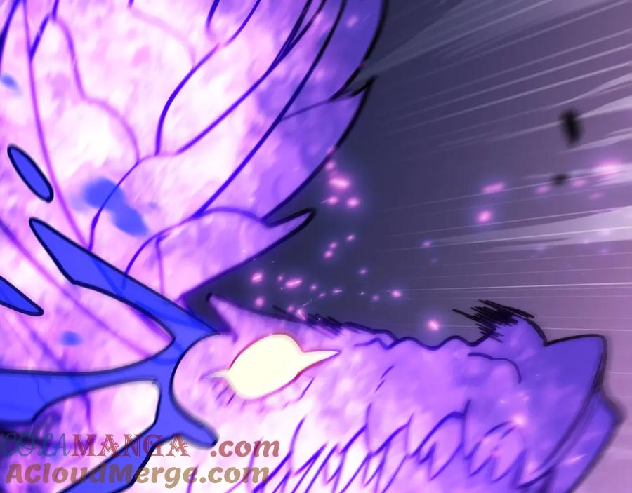 第257页