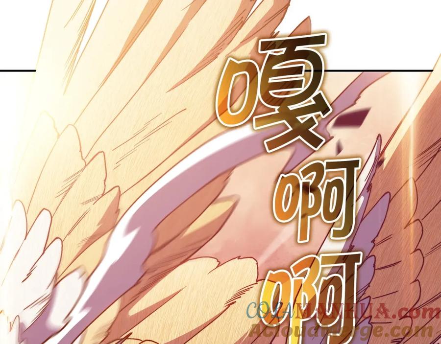 第223页