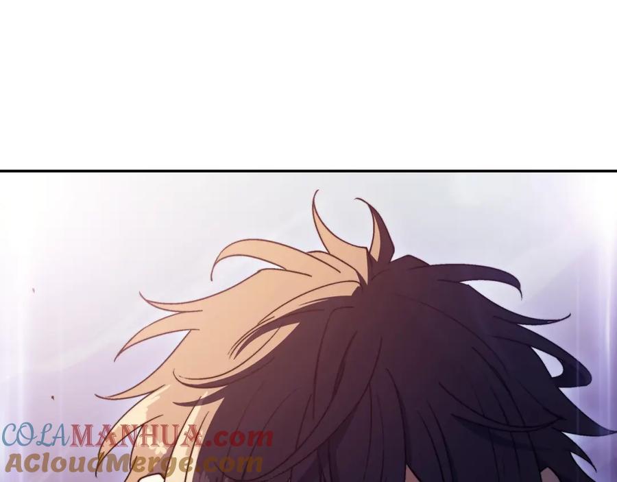 第239页