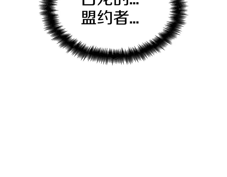 第224页