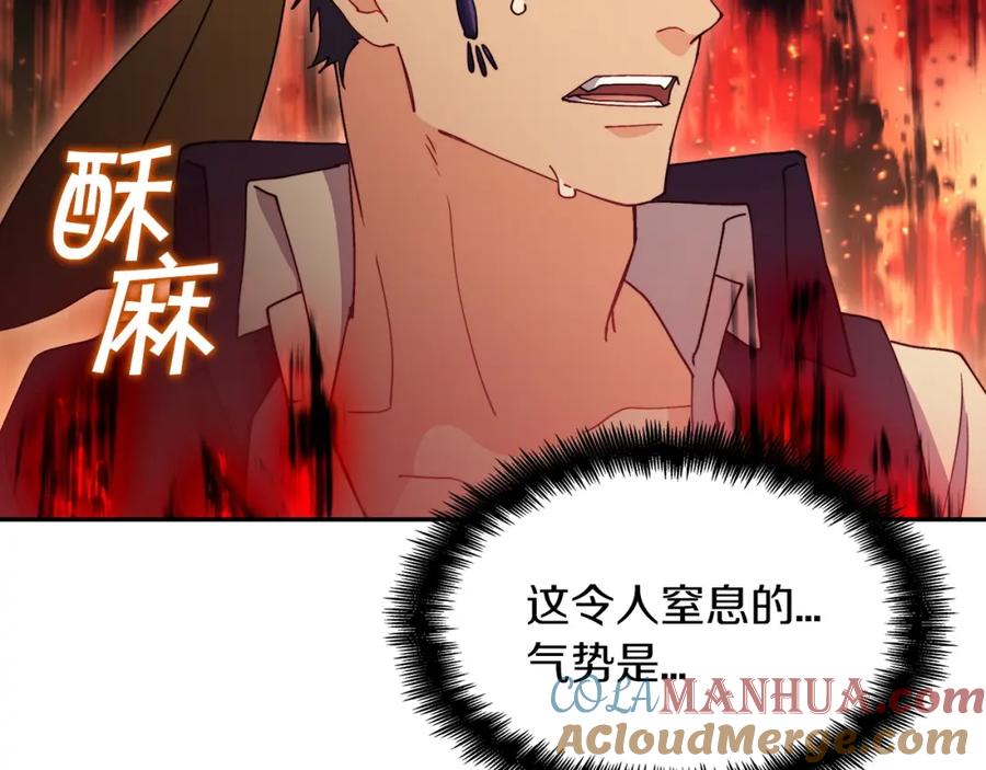 第213页