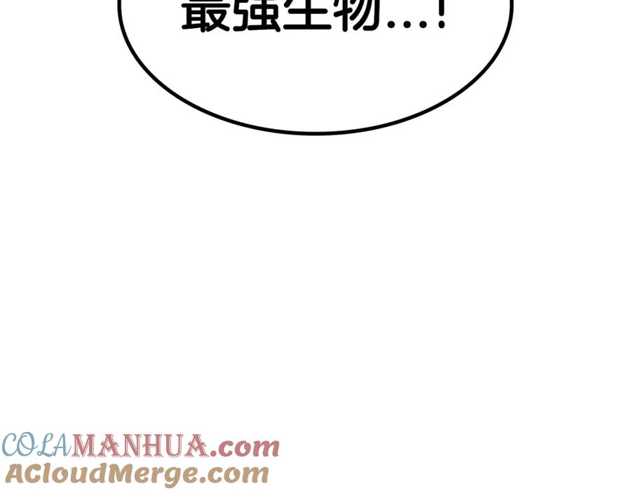 第433页