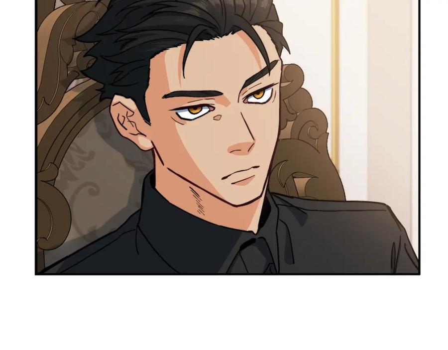 第223页