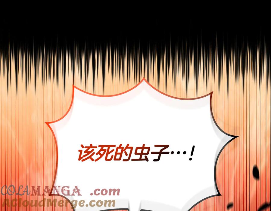 第282页