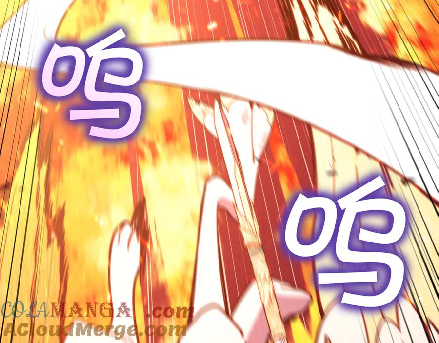第338页