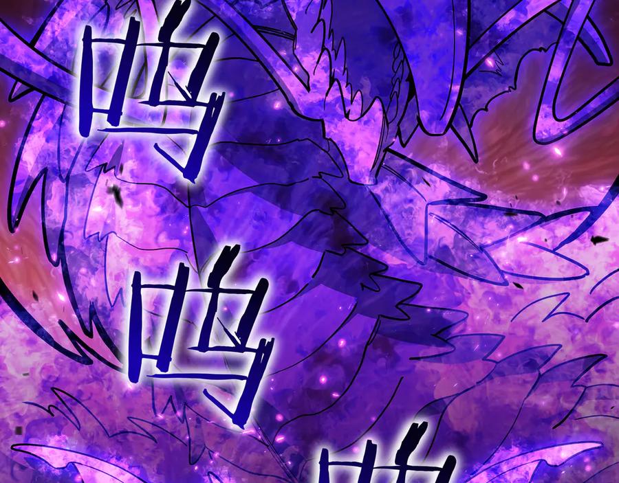 第214页