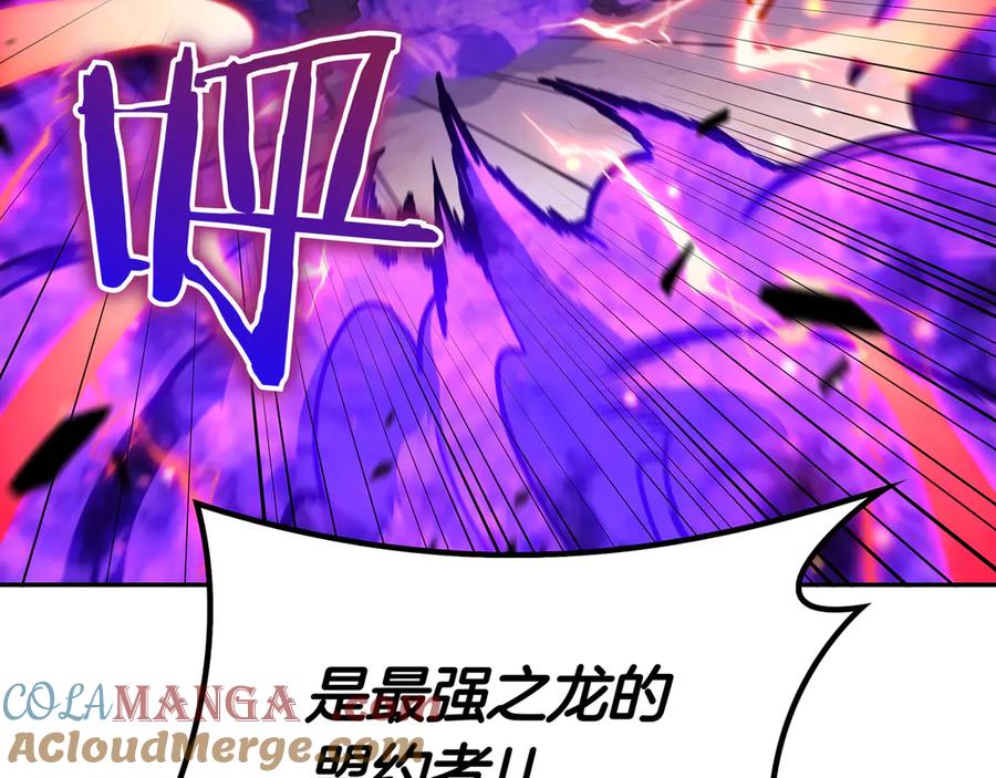 第242页