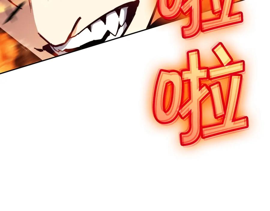 第228页