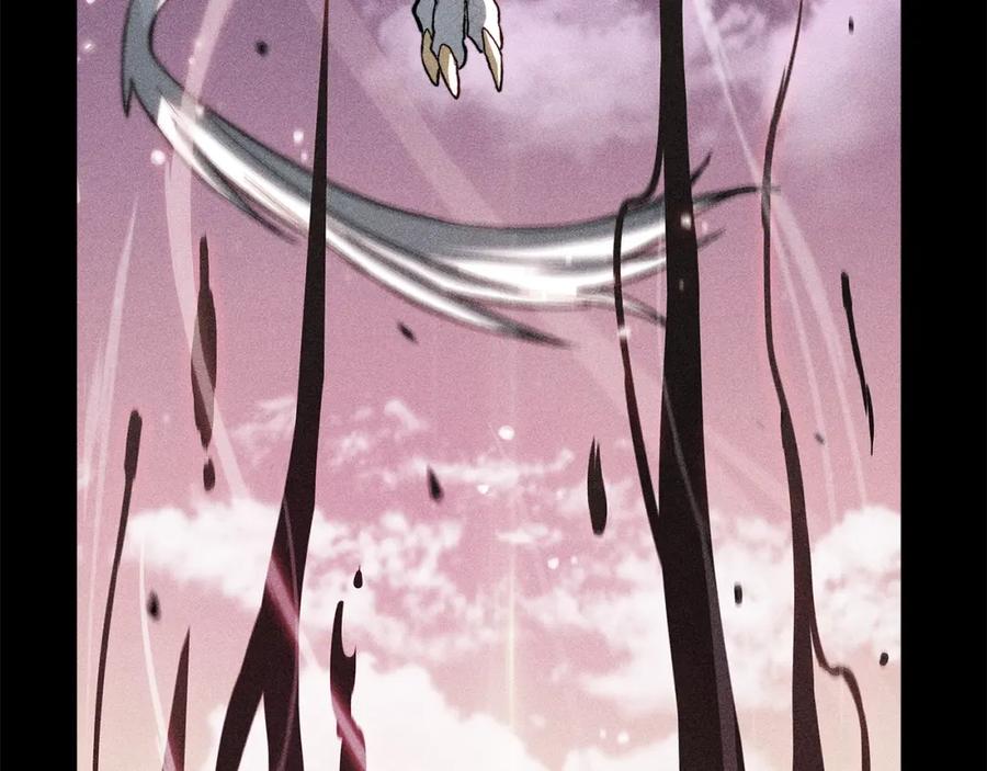 第240页