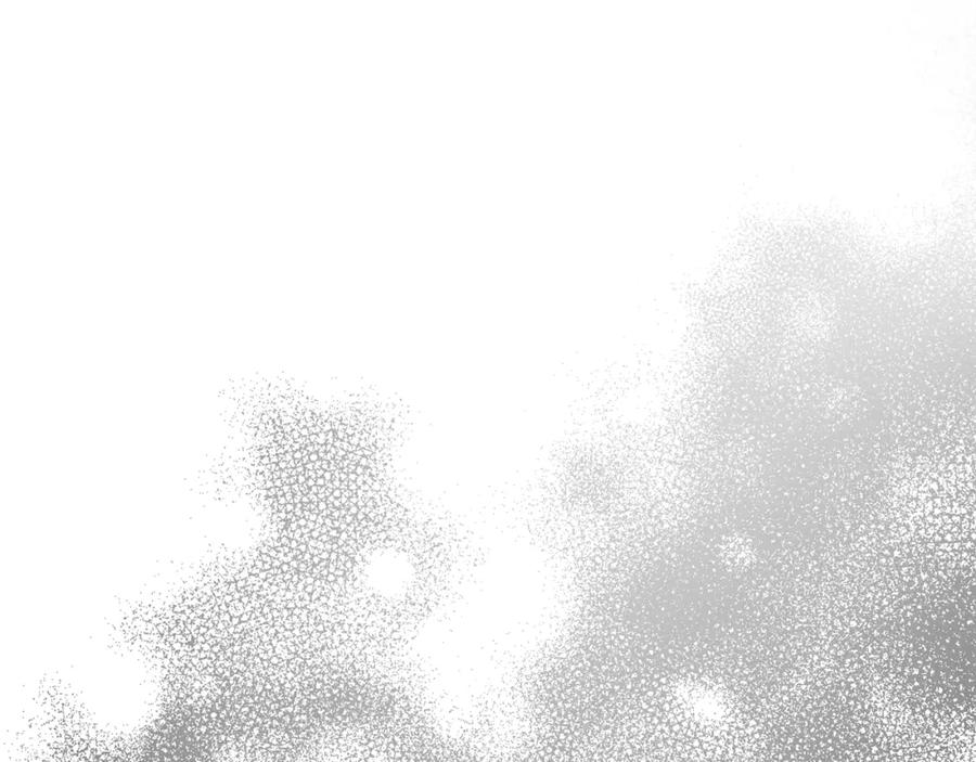 第204页