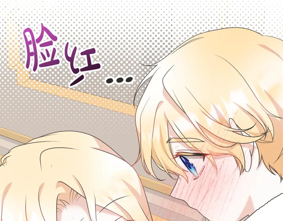 第204页
