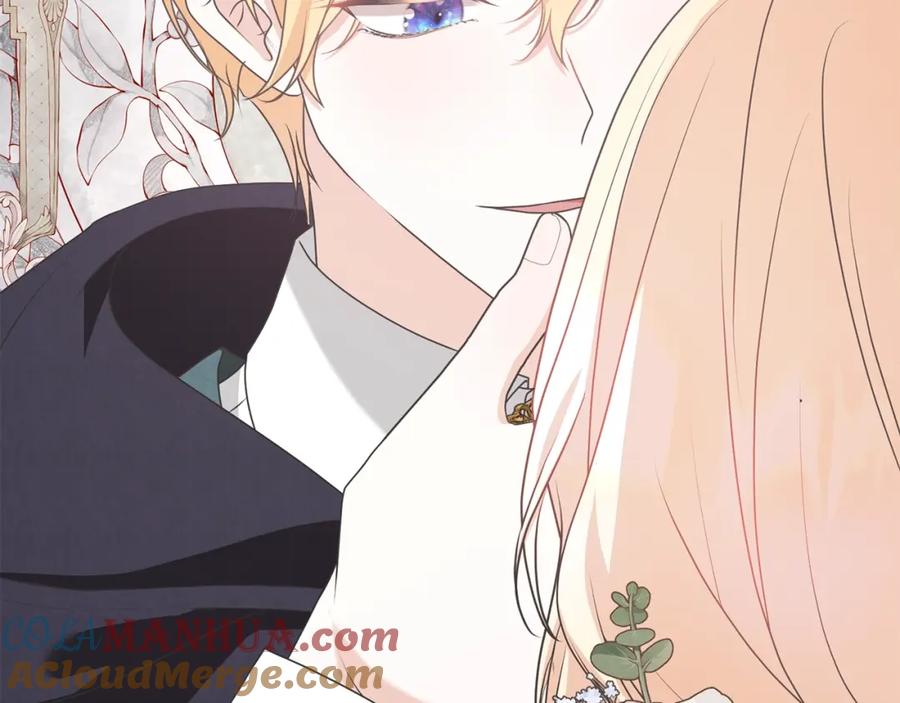 第233页