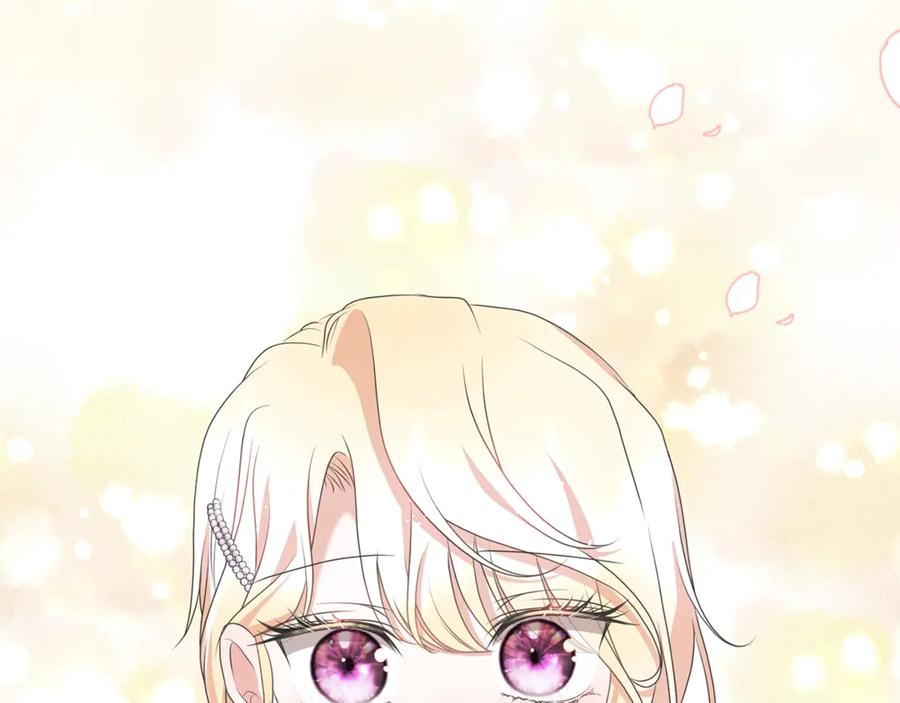 第223页