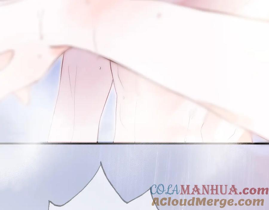 第282页