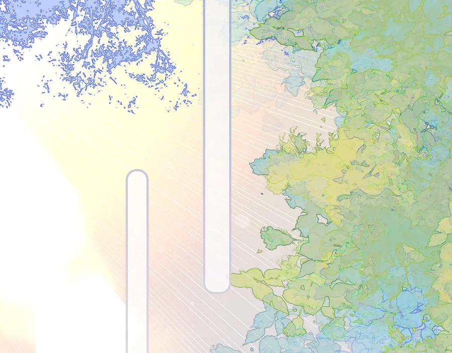 第264页