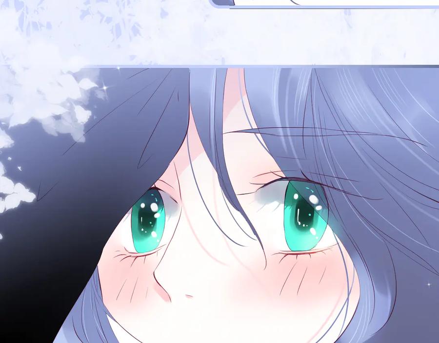 第262页