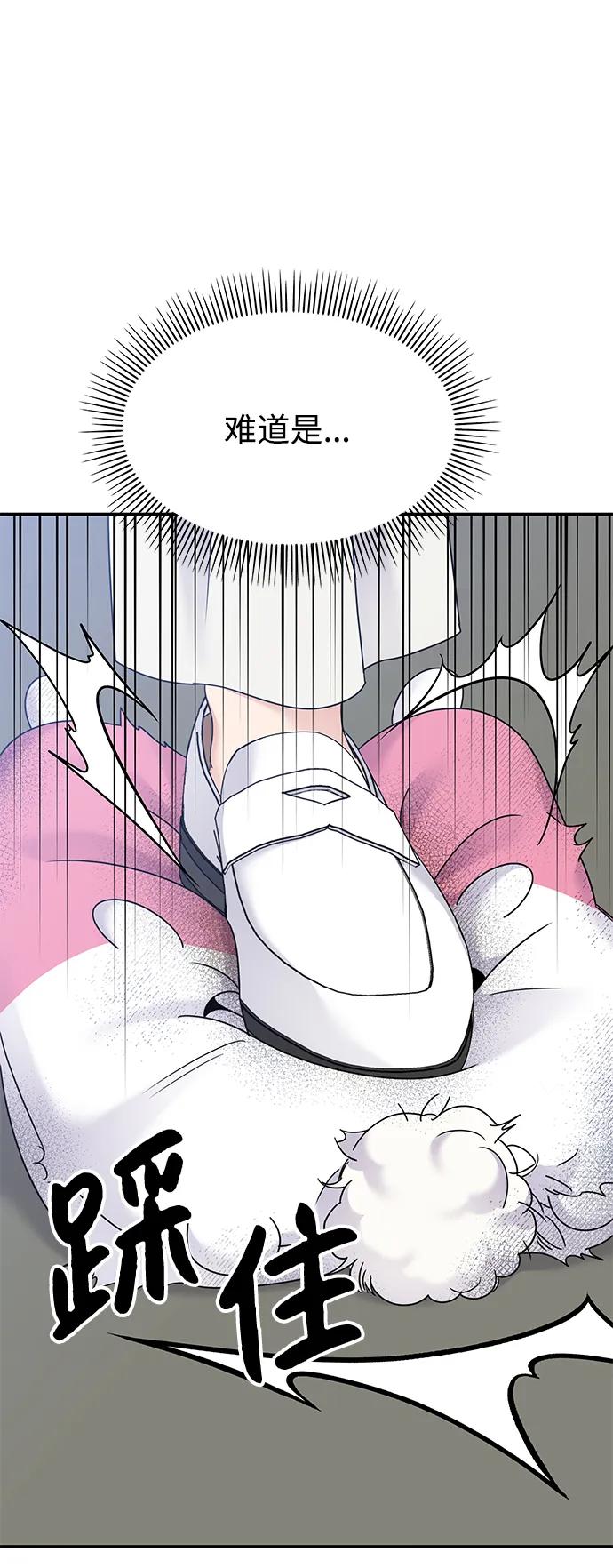 第204页