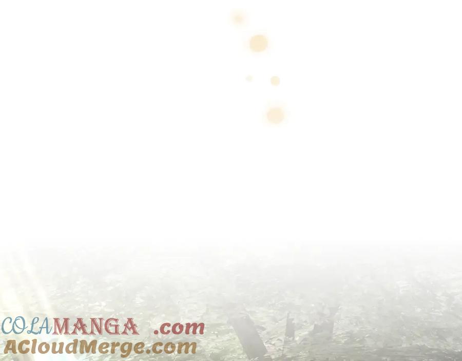 第237页