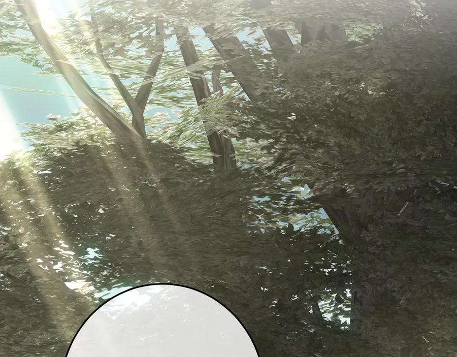 第238页