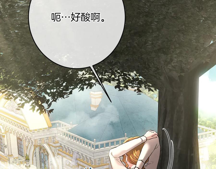 第239页