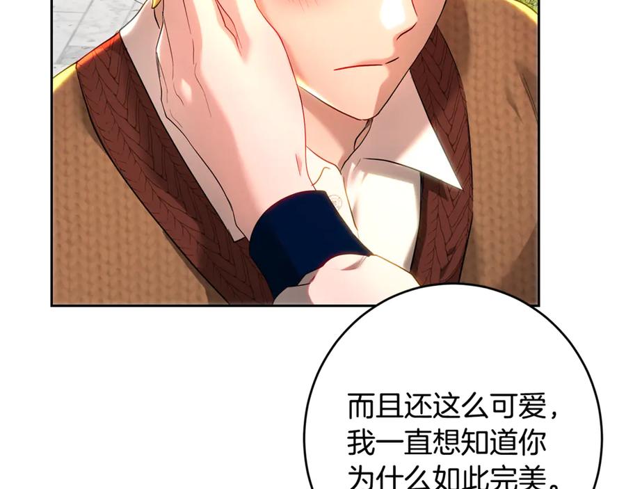 第204页
