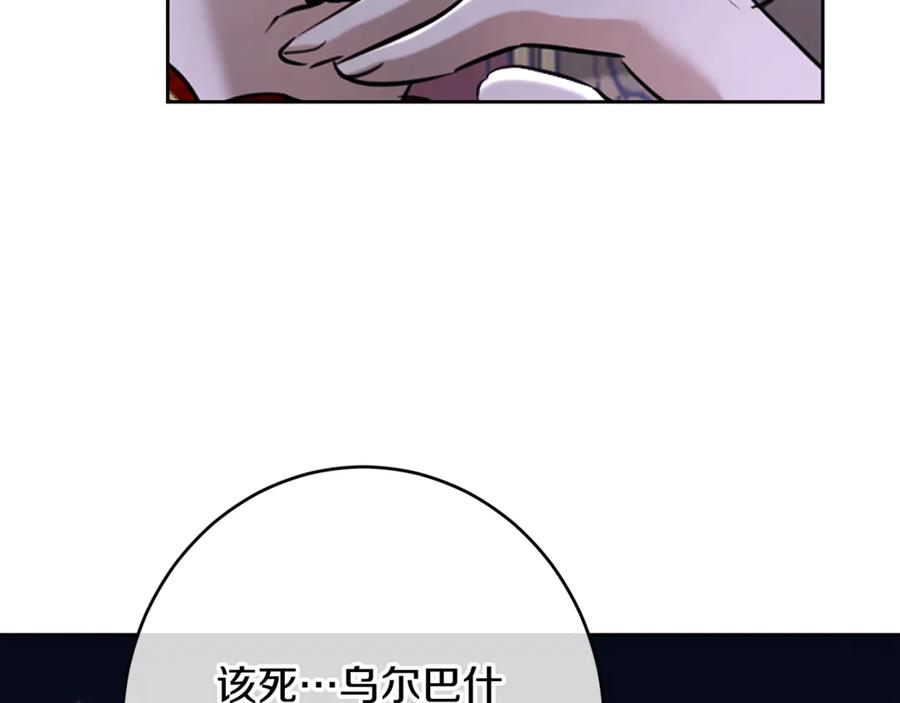 第223页
