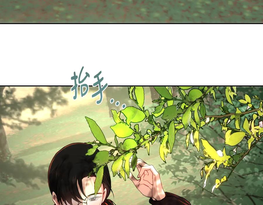 第282页