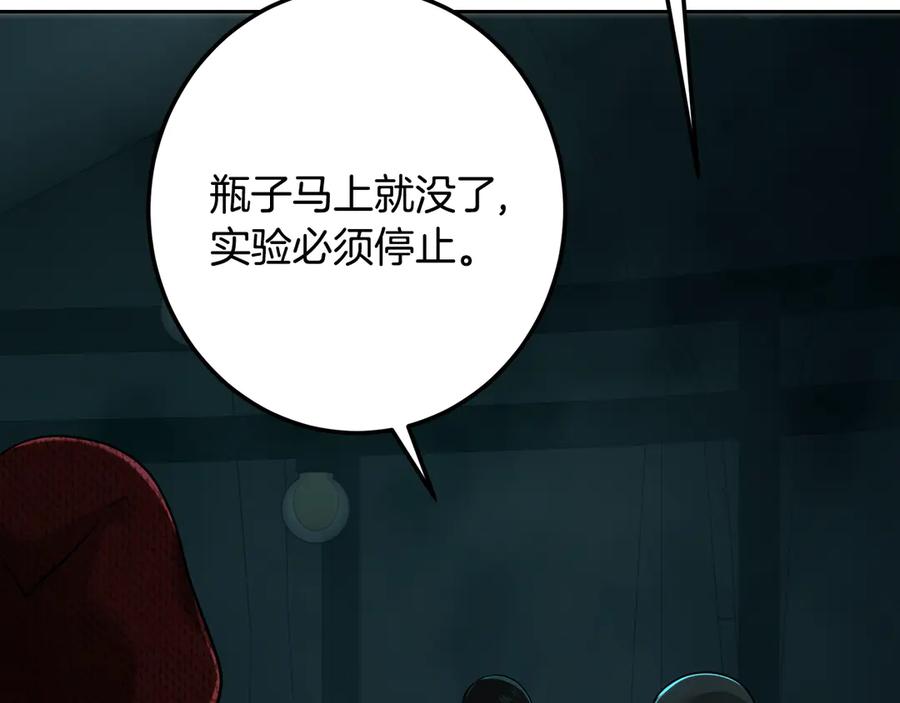 第204页