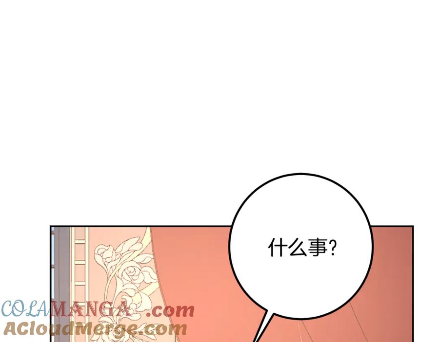第217页
