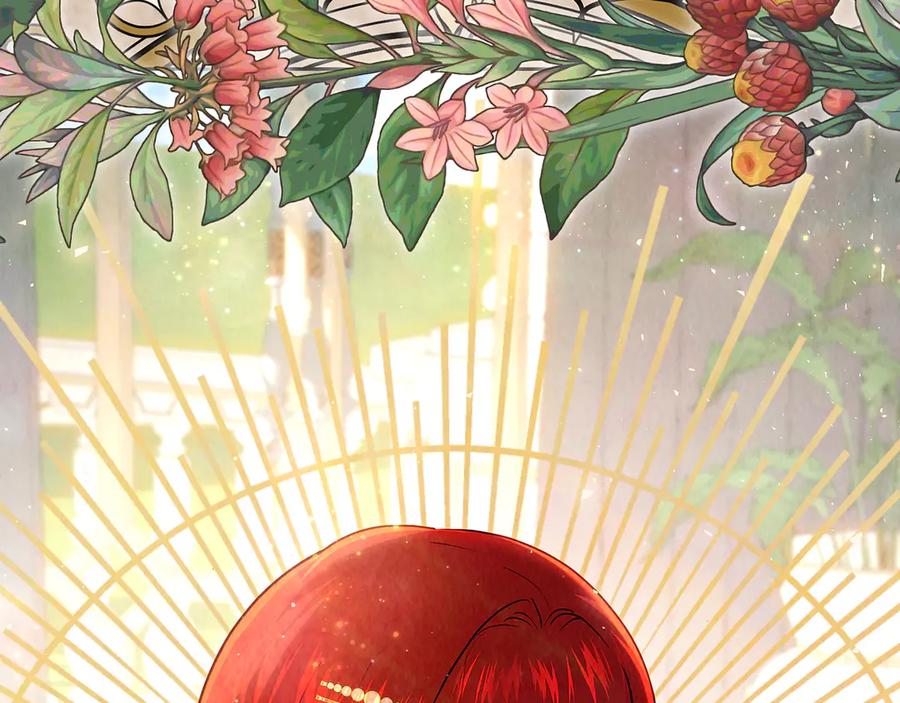 第240页