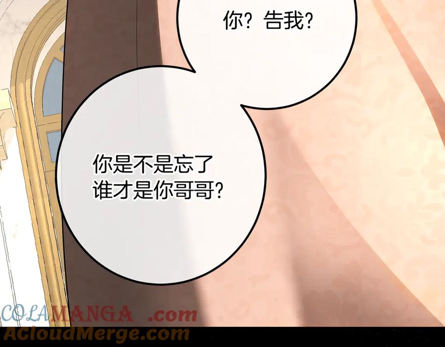 第217页