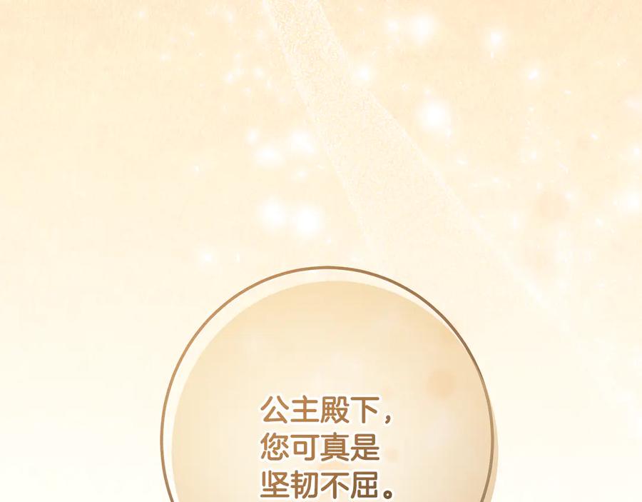 第258页