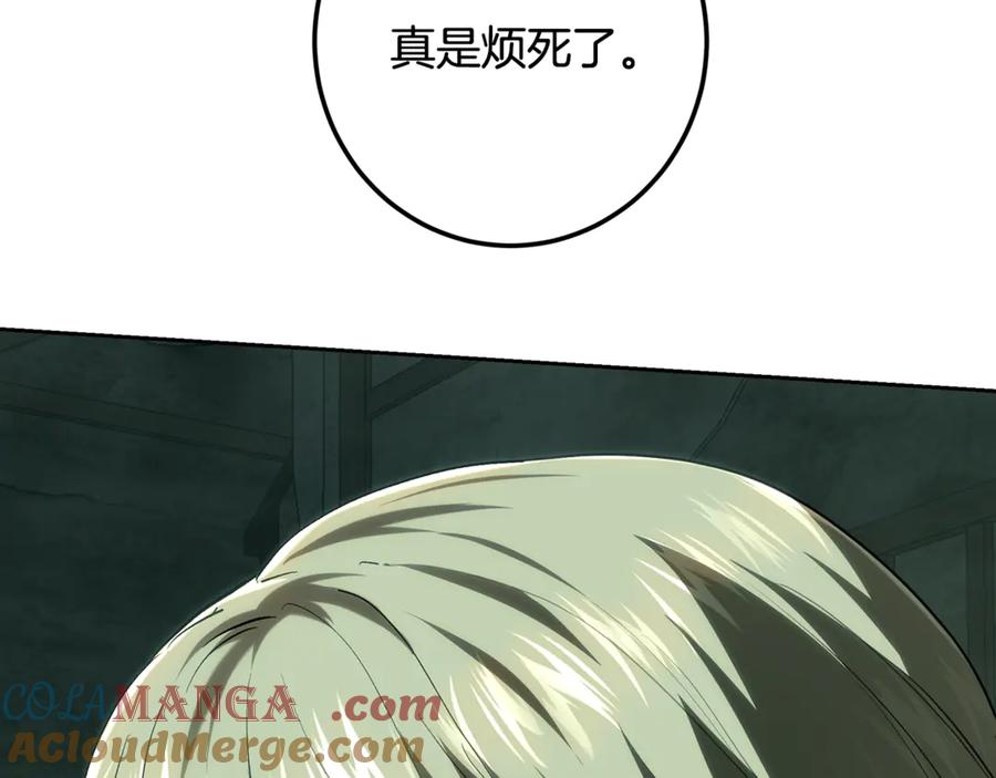 第213页